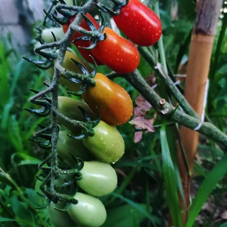 公寓 Guara Viva Abiego