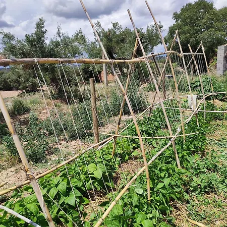 Guara Viva 公寓 Abiego