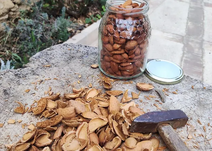 Guara Viva Lägenhet *