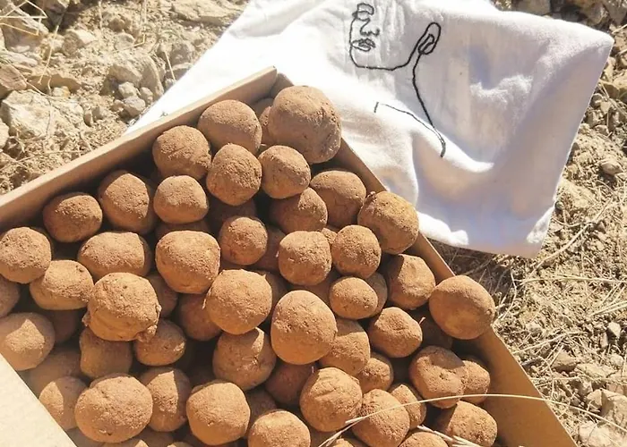 Guara Viva Lägenhet