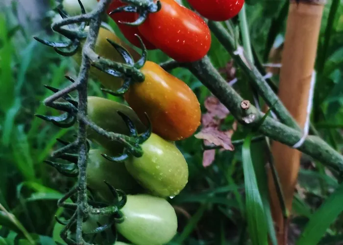 Lägenhet Guara Viva Abiego