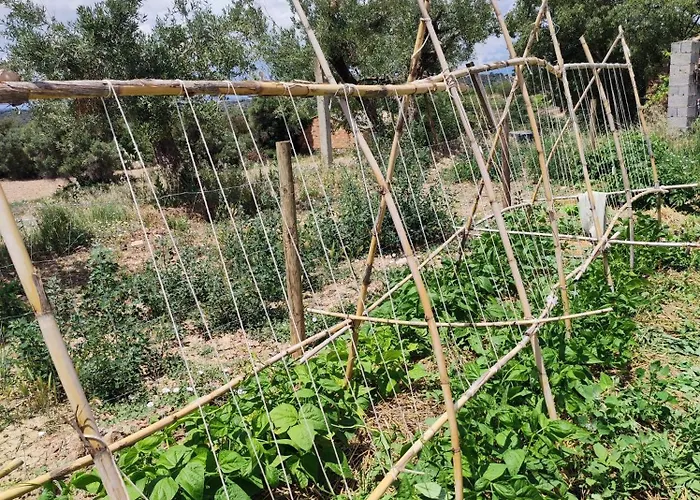 Guara Viva Lägenhet Abiego